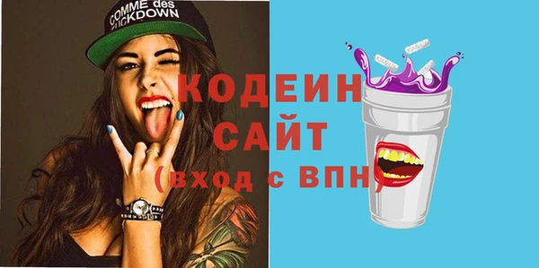 трава Корсаков